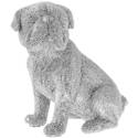 Pug